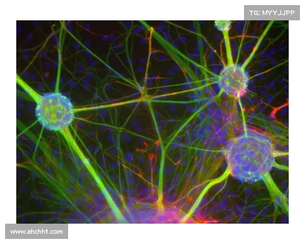 冰虫鳞片的微观结构特性及其在材料科学中的应用潜力探析 冰虫鳞片的微观结构特性及其在材料科学中的应用潜力探析