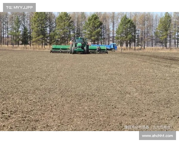 小麦国家队出色表现的五大关键因素分析与探索