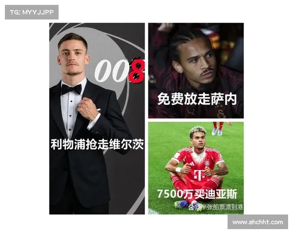 巴拉克对拜仁引进维尔茨的看法分析及其对球队未来发展的影响 巴拉克对拜仁引进维尔茨的看法分析及其对球队未来发展的影响